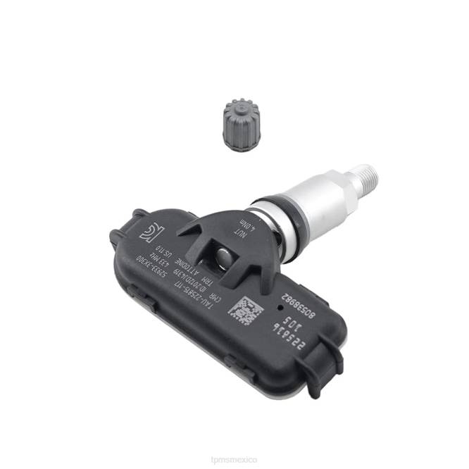 PJDJ1671 - TPMS Mexico - tpms hyundai el sensor de presión 529333x300 448mhz